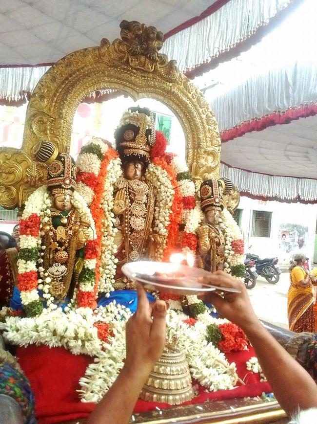 Thiruvallur-Sri-Veeraraghava-Perumal14