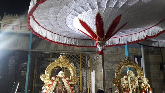 Thiruvallur-Sri-Veeraraghava-Perumal2