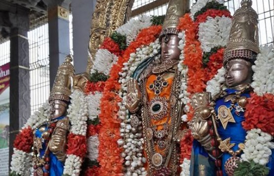 Thiruvallur-Sri-Veeraraghava-Perumal4