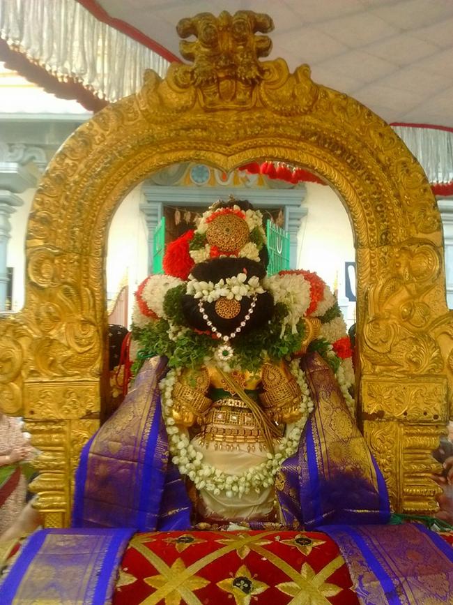 Thiruvallur-Sri-Veeraraghava-Perumal5