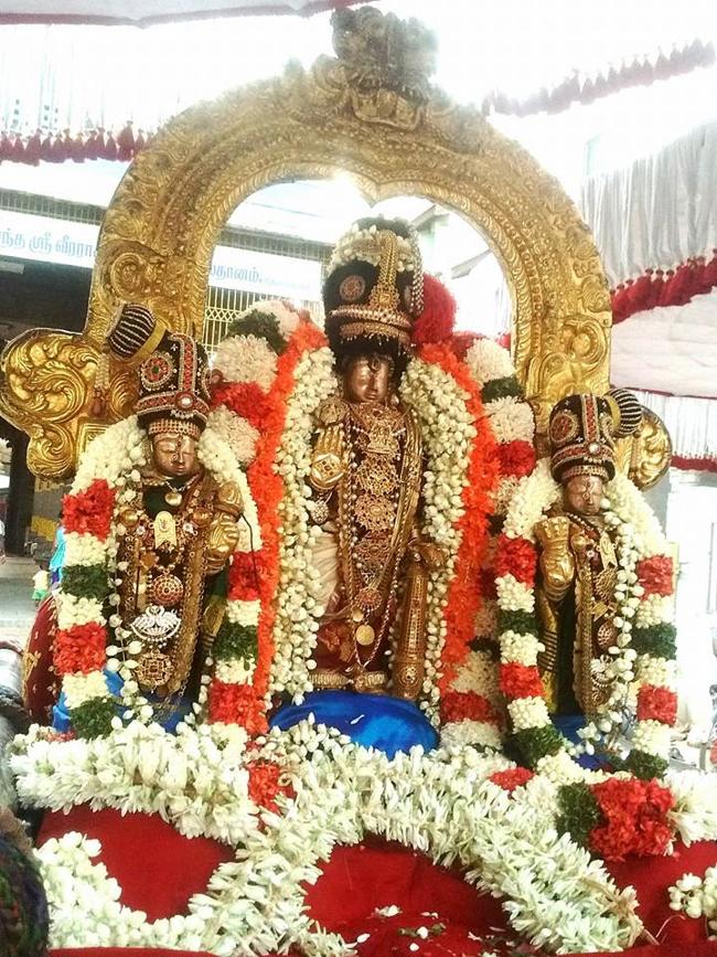 Thiruvallur-Sri-Veeraraghava-Perumal7