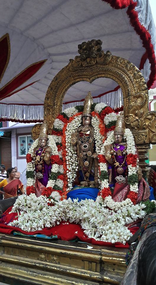 Thiruvallur-Sri-Veeraraghava-Perumal_01