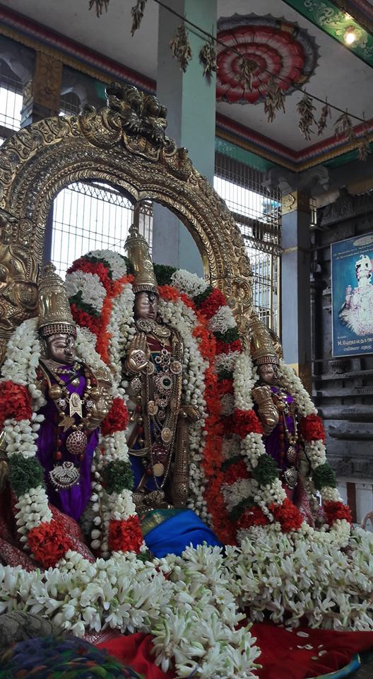 Thiruvallur-Sri-Veeraraghava-Perumal_06
