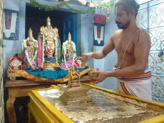 Thiruvelukkai-Sri-Azhagiyasinga-Perumal11