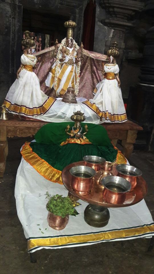 Thondanur-Sri-Nambinarayana-Perumal_06