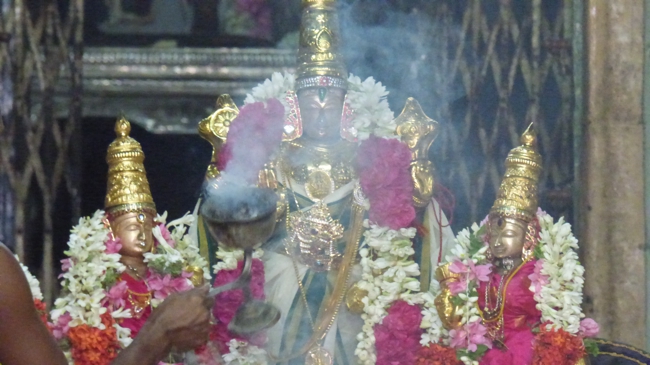 Thoopul-Swami-Desikan-Aani-Sravanam_27