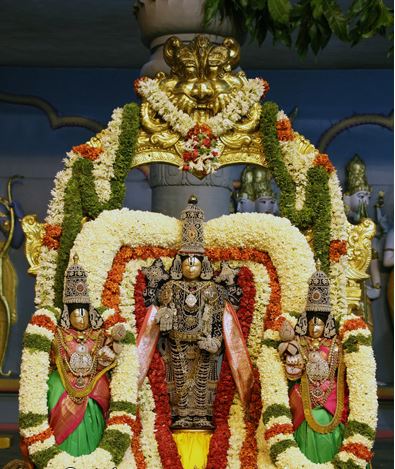 Tirumala-Tirupathi5