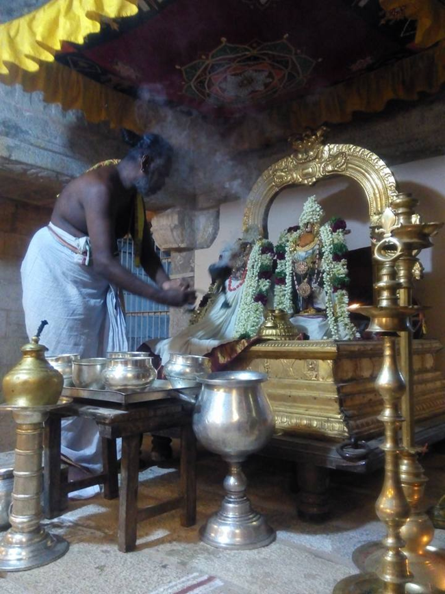 Vanamamalai-Sri-Deivanayaga-Perumal10