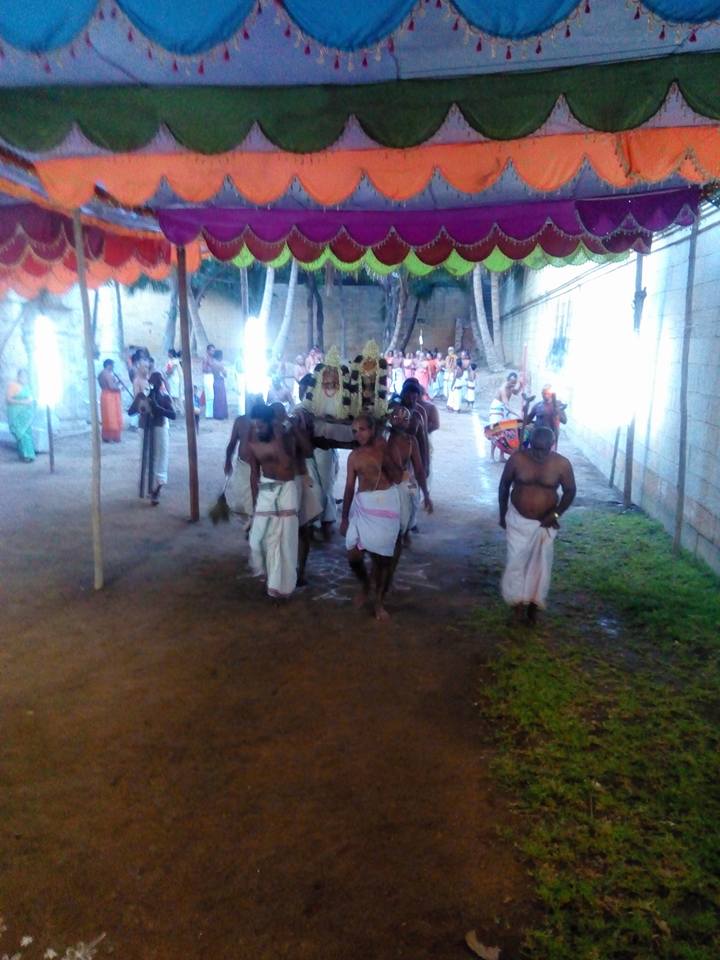 Vanamamalai-Sri-Deivanayaga-Perumal11