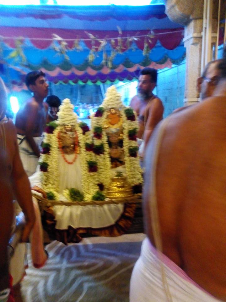 Vanamamalai-Sri-Deivanayaga-Perumal3