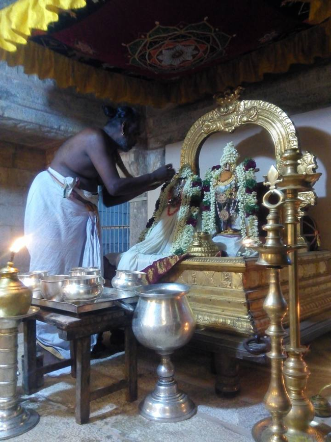 Vanamamalai-Sri-Deivanayaga-Perumal4