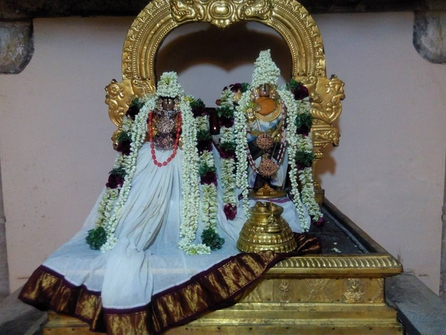Vanamamalai-Sri-Deivanayaga-Perumal5