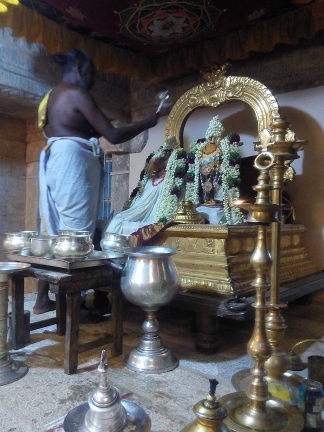 Vanamamalai-Sri-Deivanayaga-Perumal6