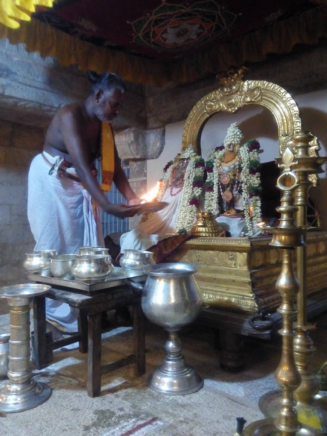 Vanamamalai-Sri-Deivanayaga-Perumal9
