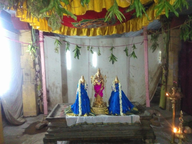 Vanamamalai-Sri-Deivanayaga-Perumal_02