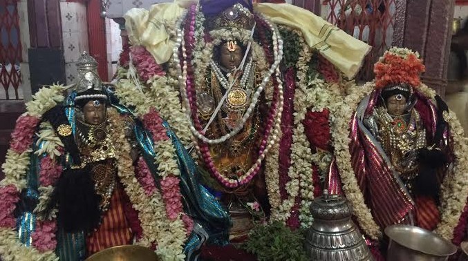 Vazhuthur-Sri-Ambareesha-Varadhan18
