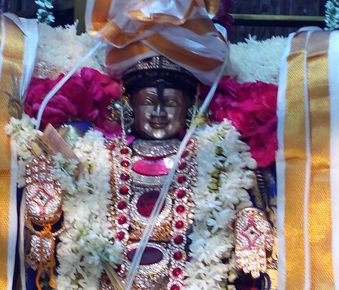 Arcot-Sri-Varadaraja-Perumal9