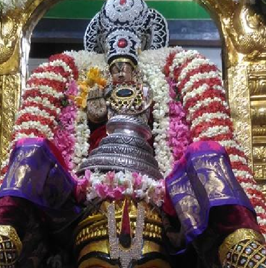 Arumbakkam-Sri-Satyavaradaraja-Perumal2