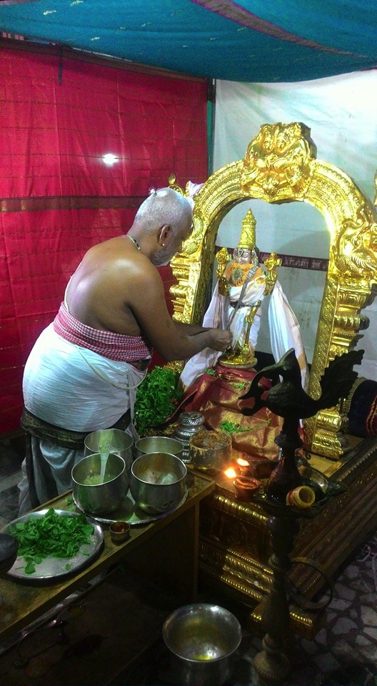 Arumbakkam-Sri-Satyavaradaraja-Perumal_10