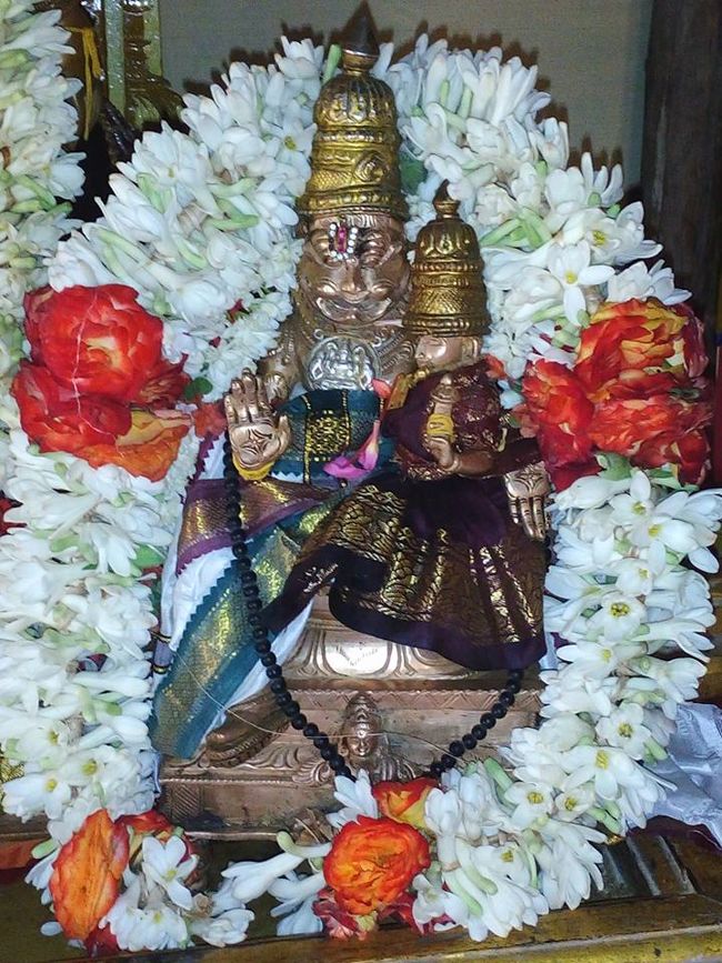 Injimedu-Sri-Varadaraja-Perumal6