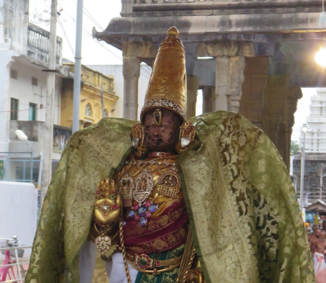 Kodai_Utsavam_Kanchi_Varadaraja_Perumal_Temple_00