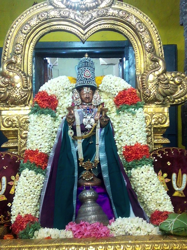 Periazhwar_Utsavam_Kanchi_Varadaraja_Perumal_Temple_00