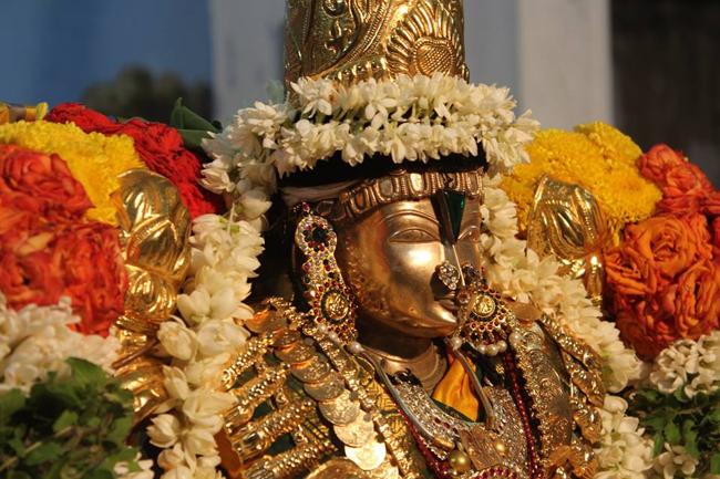 Pondicherry-Sri-Srinivasa-Perumal7