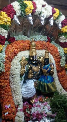 Poovarasankuppam-Sri-Lakshminarasimha-Perumal2