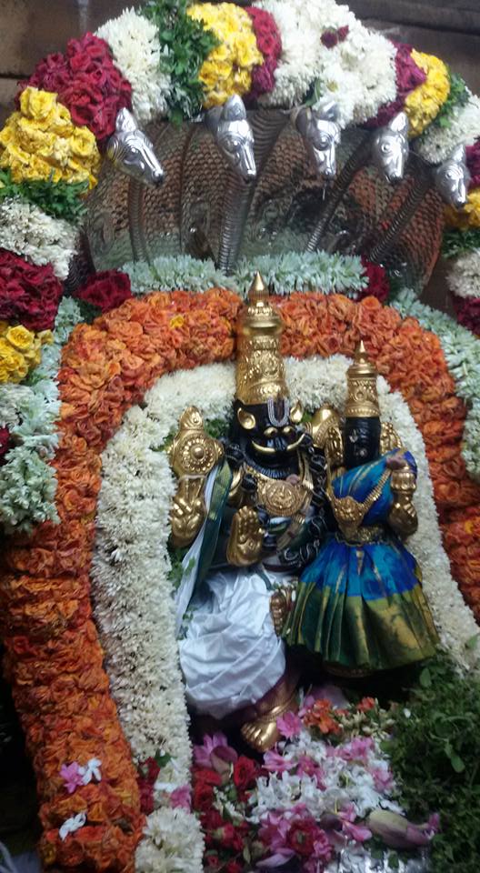 Poovarasankuppam-Sri-Lakshminarasimha-Perumal5