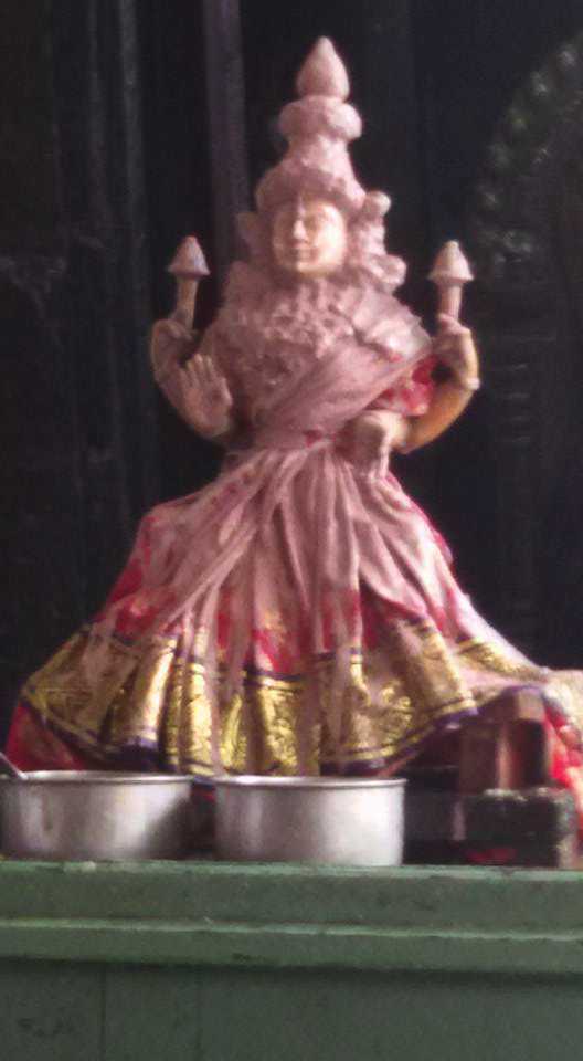 Poovarasankuppam-Sri-Lakshminarasimha-Perumal_10