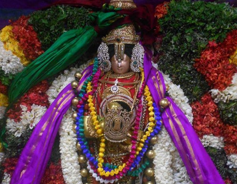 Srivilliputhur-Sri-Periyazhwar-Thirunakshatram19