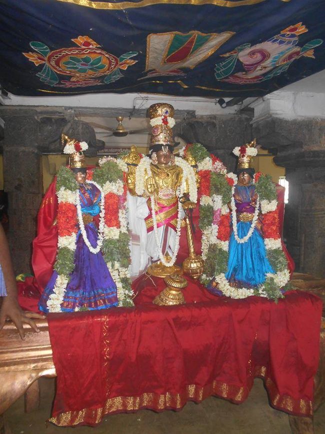 Srivilliputhur-Sri-Periyazhwar-Thirunakshatram6