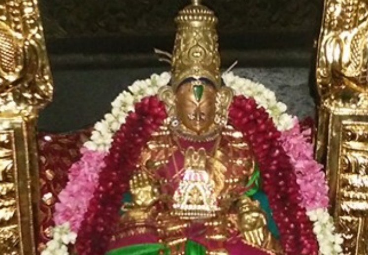 Therazhundur-Sri-Sengamalavalli-Thayar6