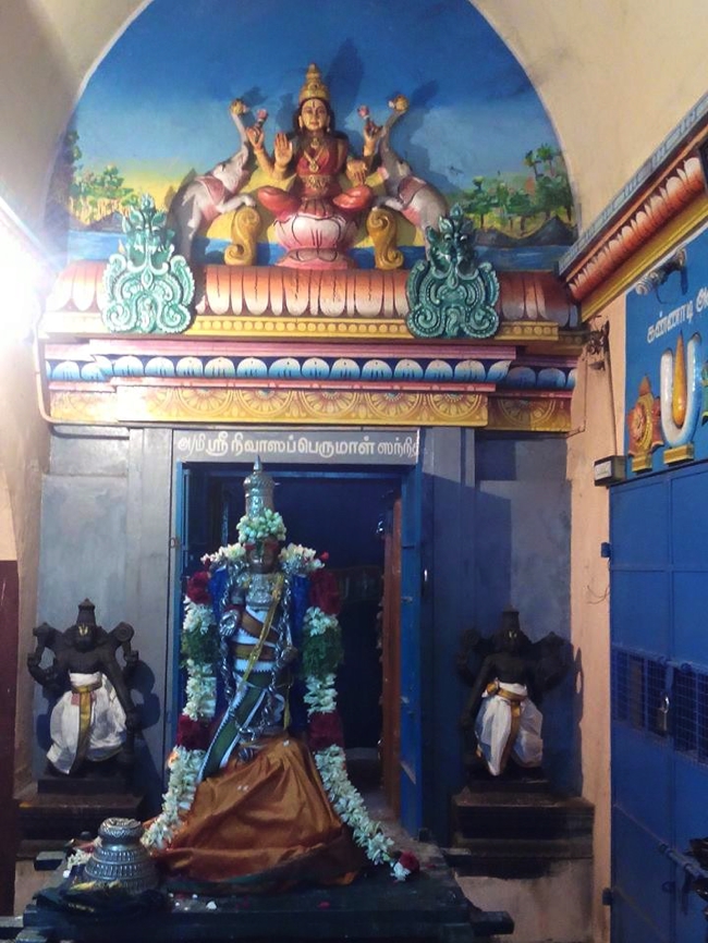Thillaisthanam-Sri-Srinivasa-Perumal_00