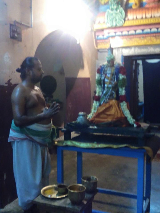 Thillaisthanam-Sri-Srinivasa-Perumal_05