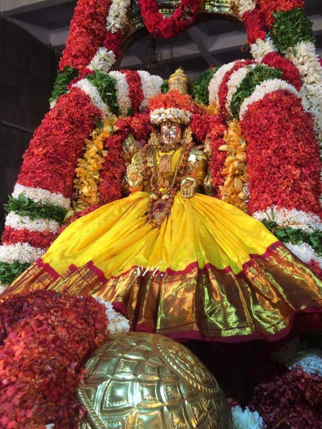 Thiruchanoor-Sri-Padmavathi-Thayar