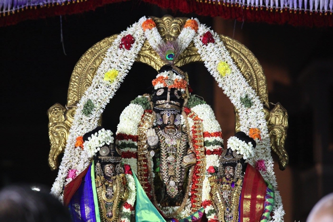 Thirumailai-Sri-Adhikesava-Perumal-Vanabojana-Utsava,-Vanamamalai-Mutt-Thiruvallikeni_04