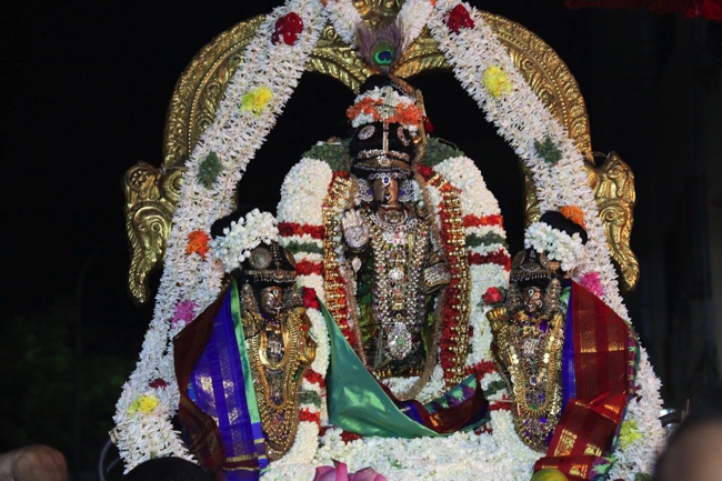 Thirumailai-Sri-Adhikesava-Perumal-Vanabojana-Utsava,-Vanamamalai-Mutt-Thiruvallikeni_11