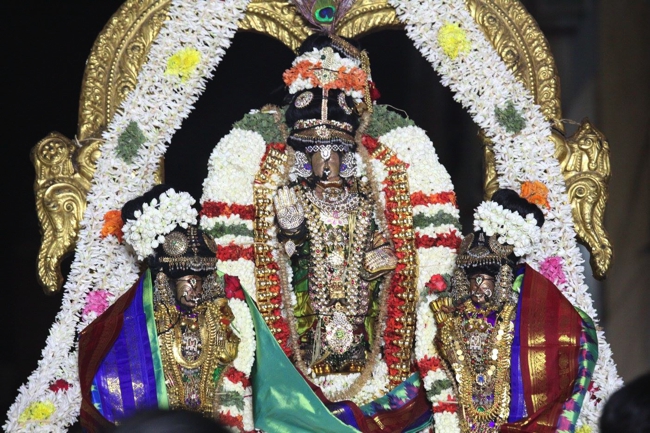 Thirumailai-Sri-Adhikesava-Perumal-Vanabojana-Utsava,-Vanamamalai-Mutt-Thiruvallikeni_12