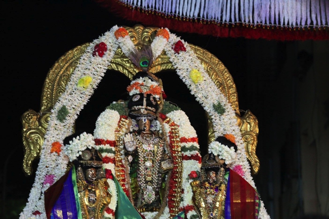 Thirumailai-Sri-Adhikesava-Perumal-Vanabojana-Utsava,-Vanamamalai-Mutt-Thiruvallikeni_13