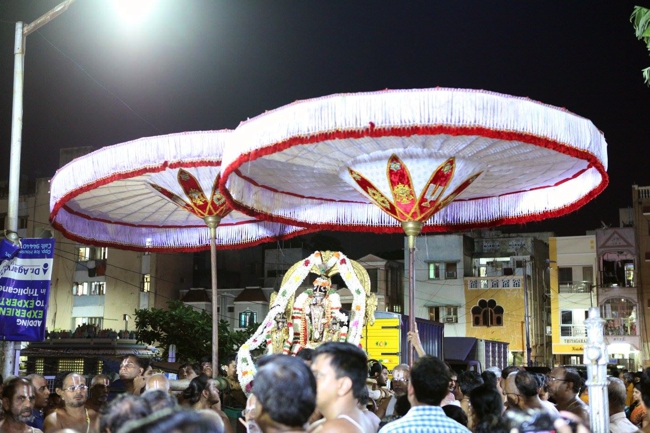 Thirumailai-Sri-Adhikesava-Perumal-Vanabojana-Utsava,-Vanamamalai-Mutt-Thiruvallikeni_14