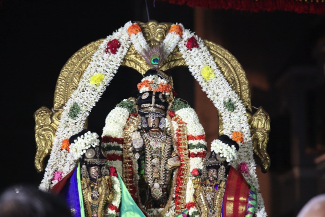 Thirumailai-Sri-Adhikesava-Perumal-Vanabojana-Utsava,-Vanamamalai-Mutt-Thiruvallikeni_15