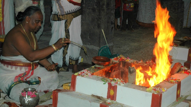 Thiruneermalai_Sri_Ranganatha_Perumal_Temple_Thiruther_09