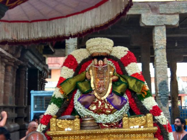 Thiruvahindrapuram-Sri-Devanatha-Perumal4