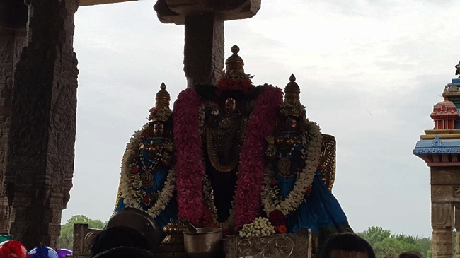 Thiruvahindrapuram-Sri-Devanathan-Perumal_11
