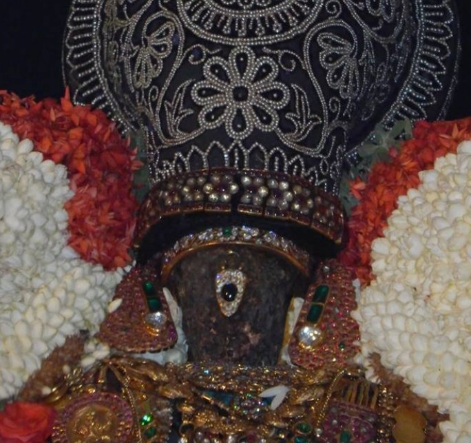 Thiruvallikeni-Sri-Parthasarathy-Swamy11