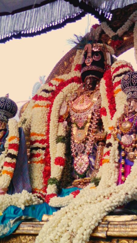 Thiruvallikeni-Sri-Parthasarathy-Swamy2