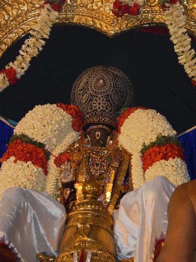 Thiruvallikeni-Sri-Parthasarathy-Swamy3