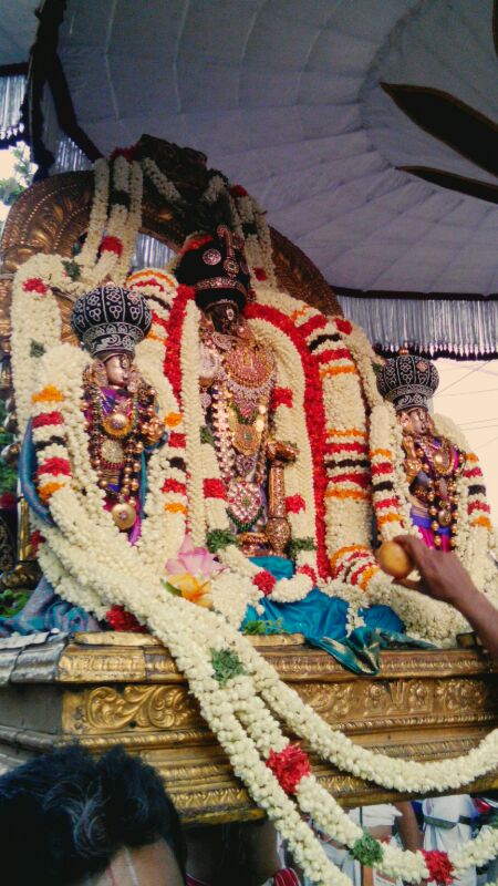 Thiruvallikeni-Sri-Parthasarathy-Swamy4