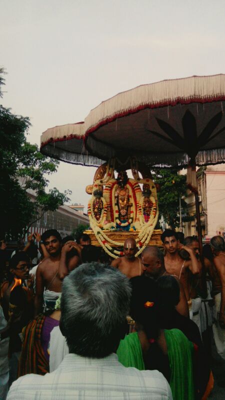 Thiruvallikeni-Sri-Parthasarathy-Swamy6